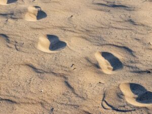 FootprintsInTheSand FootprintsInTheSand
